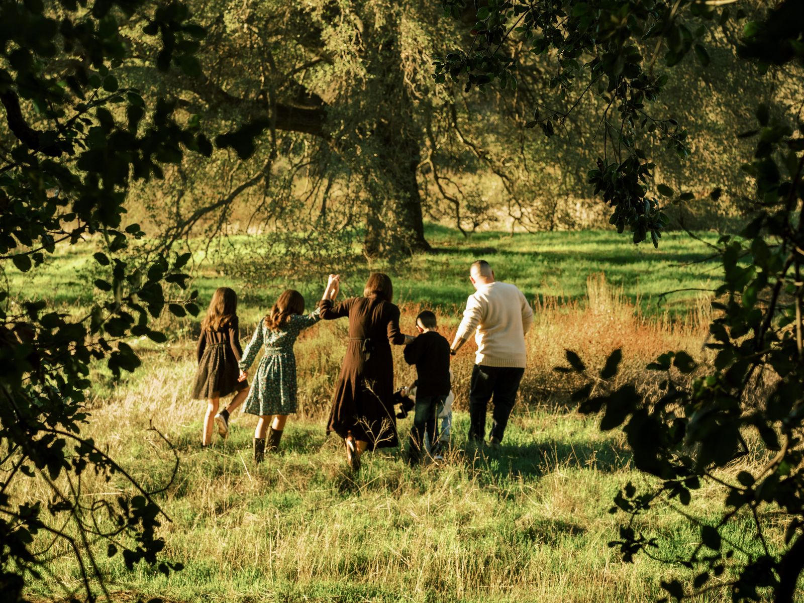 A family walking hand in hand away under the oak trees